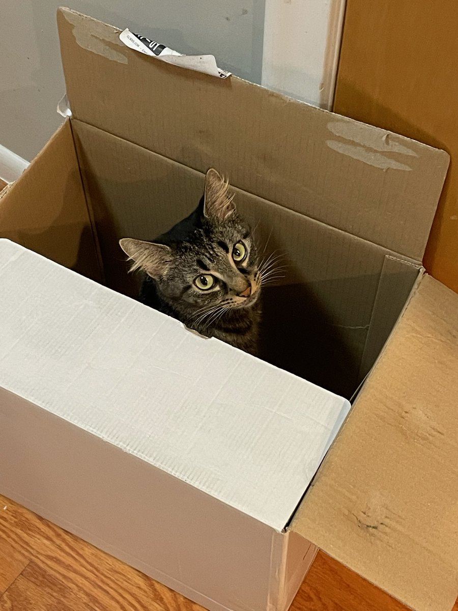 Kid Squiggy McGhee tweet media