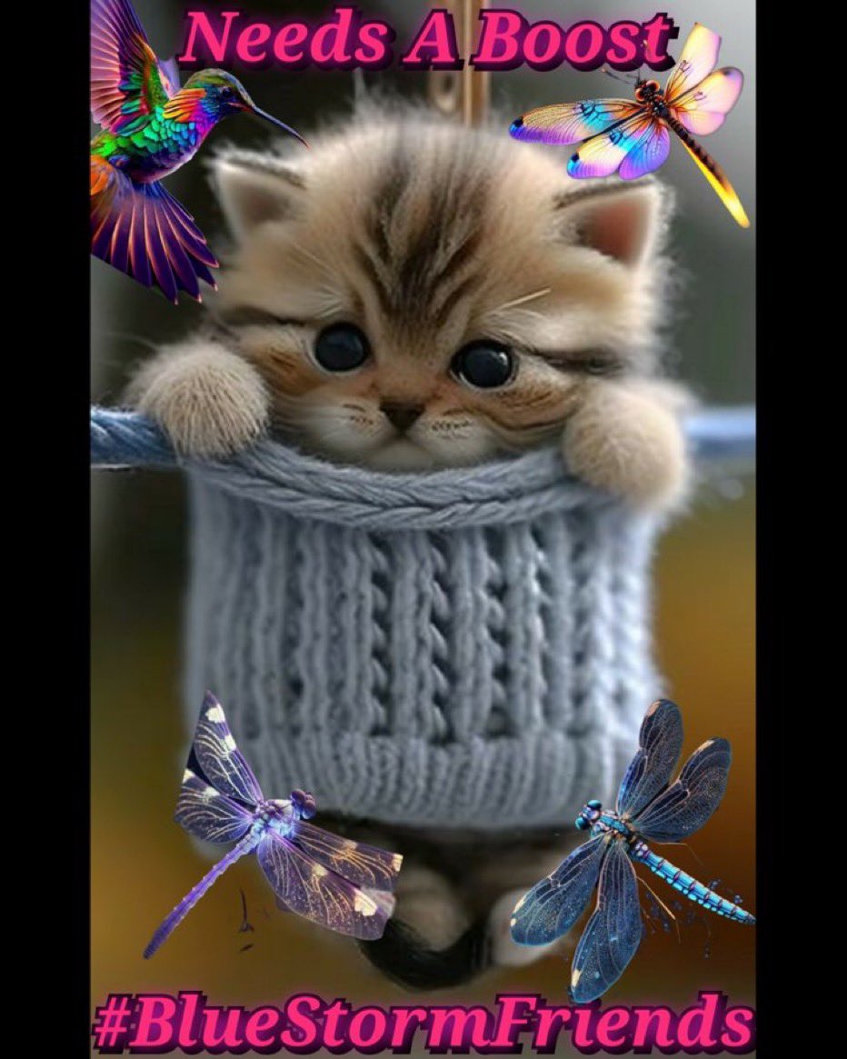 Let’s help @Spruce94962949 reach 1000 this evening! Please 👣