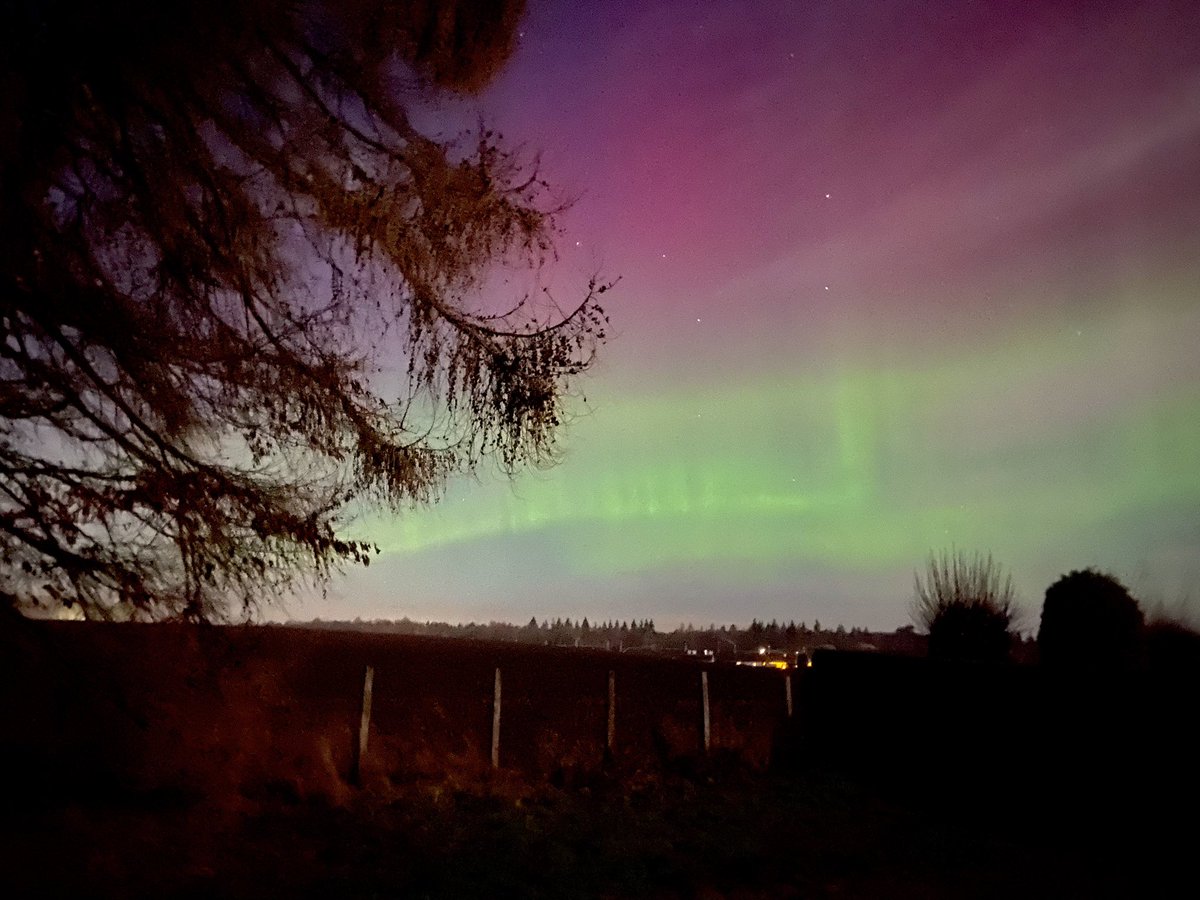 EnterSamSmith's tweet image. We’ve chased the northern lights all over the western isles and north of #Scotland and never managed to see them but tonight, received the red warning for #aurora on the app so we decided to go for a walk down the park away from the light pollution and couldn’t believe our eyes!