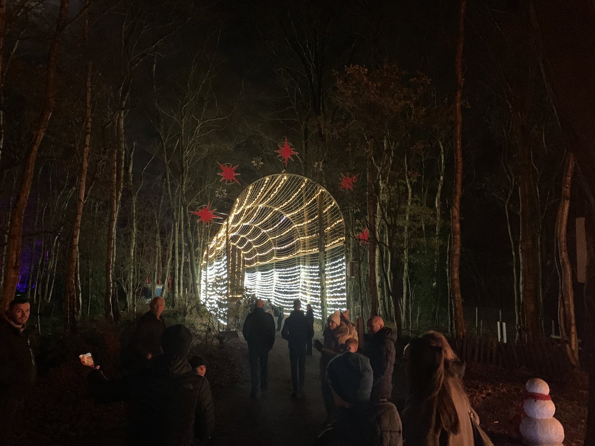 twcallow's tweet image. Blakemere magical woodland