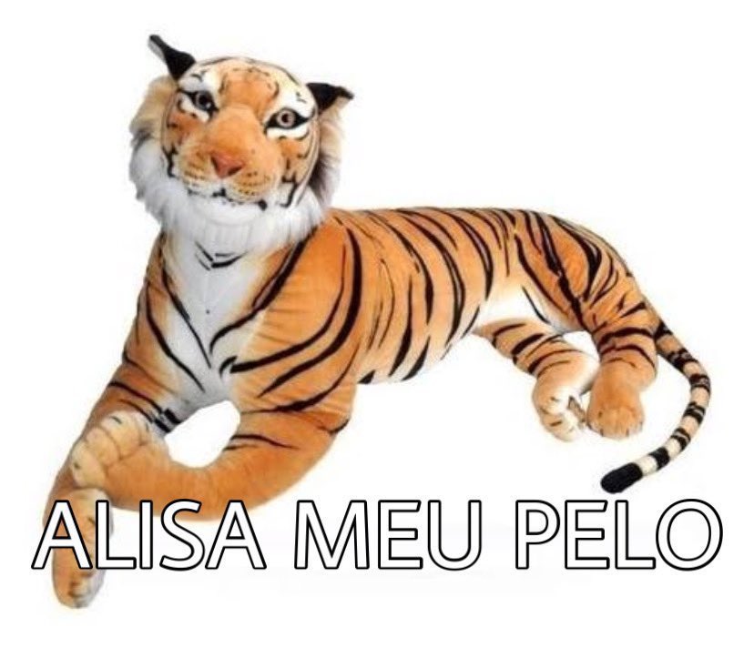 CentralDaAAA's tweet photo. VILA NOVA FUTEBOL CLUBE

KKKKKKKKKKKKKKKKKKKKKKKKKKKKKKKKKKKKKKKKKKKKKKKKKKKKKKKKKKKKKKKKKKKKKKKKKKKKKK https://t.co/YChmoMuflk