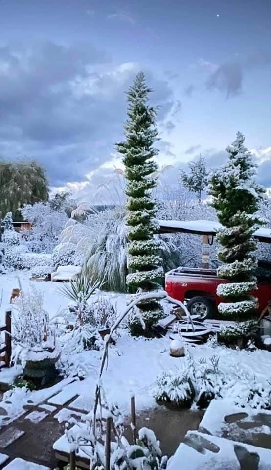 MiDurangoMx's tweet photo. Nos cayeron las nevadas esta semana https://t.co/uk90LV435U