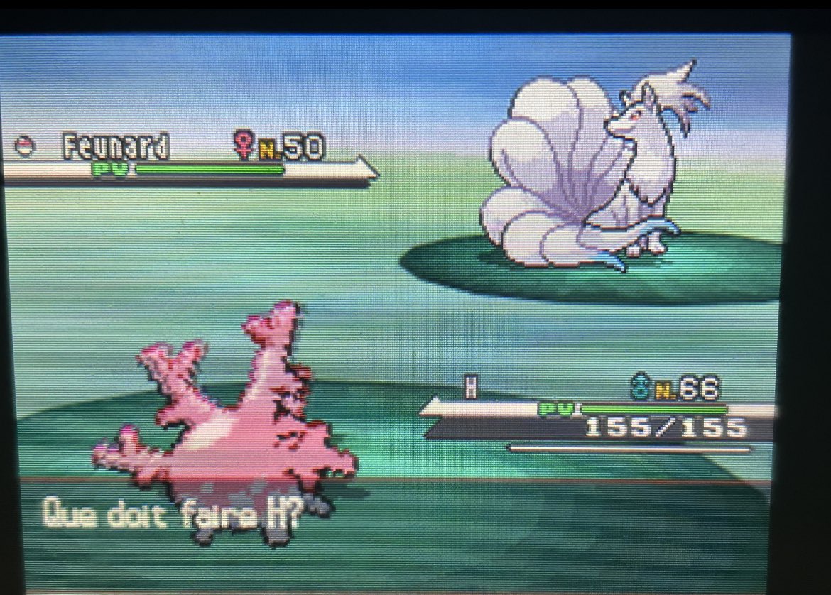 Vulpixillusive🍂 tweet media