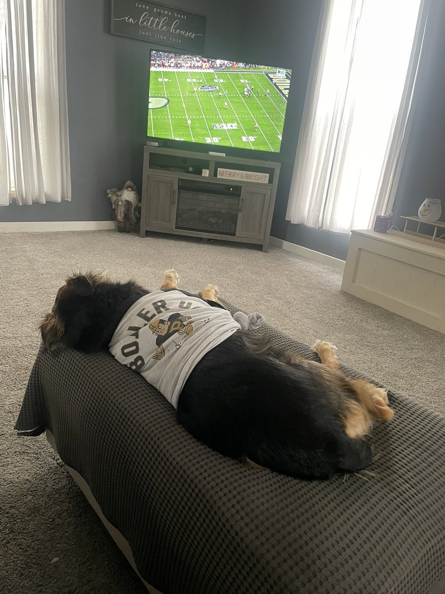 couchez's tweet photo. Boiler Up🖤🏈🚂💛 @BoilerFootball https://t.co/7COtEctgul