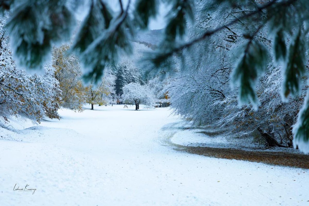 perparim_rama's tweet photo. ❄️🌲🌨️Magjia dimërore e Parkut Gërmia

Një oazë e qetësisë, ku pemët të mbërthejnë me bukurinë e tyre dhe ofrojnë pamje magjepsëse. 

Çdo hap që bëni do të përjetoni momente mahnitëse. 🌲❄️ 

📸Labinot Krasniqi https://t.co/uTn7FHIQk3