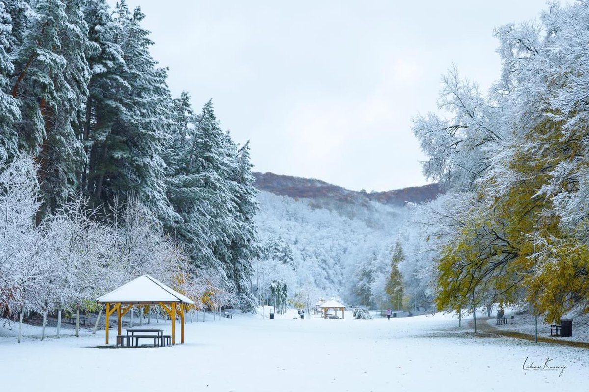 perparim_rama's tweet photo. ❄️🌲🌨️Magjia dimërore e Parkut Gërmia

Një oazë e qetësisë, ku pemët të mbërthejnë me bukurinë e tyre dhe ofrojnë pamje magjepsëse. 

Çdo hap që bëni do të përjetoni momente mahnitëse. 🌲❄️ 

📸Labinot Krasniqi https://t.co/uTn7FHIQk3