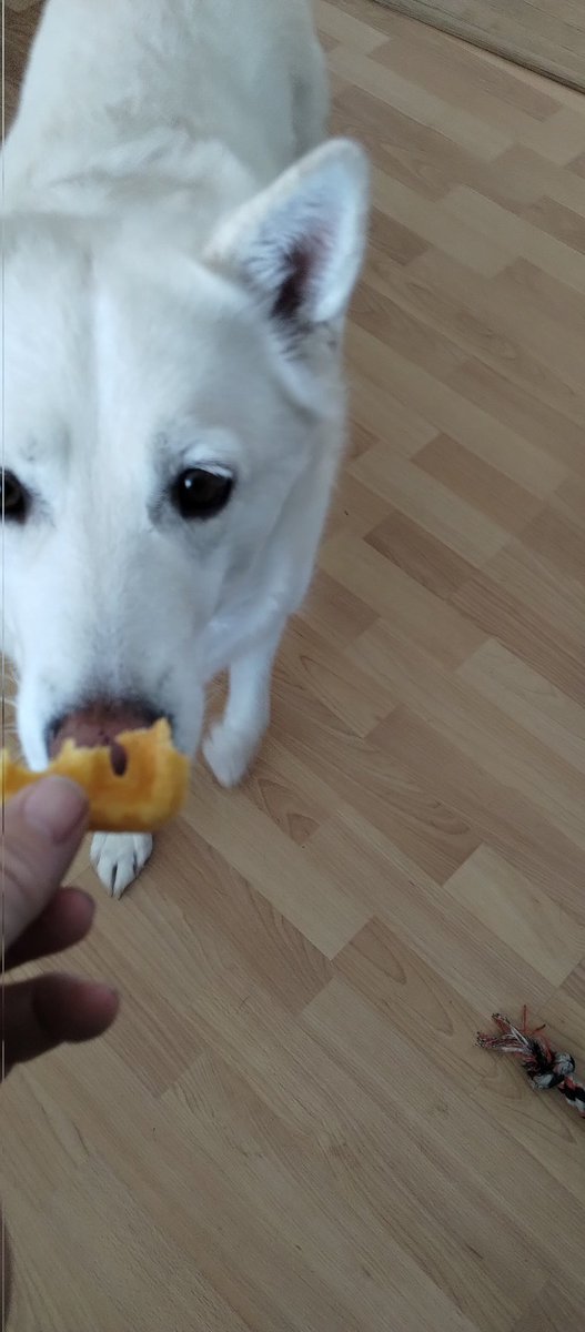 Pete Morris tweet media