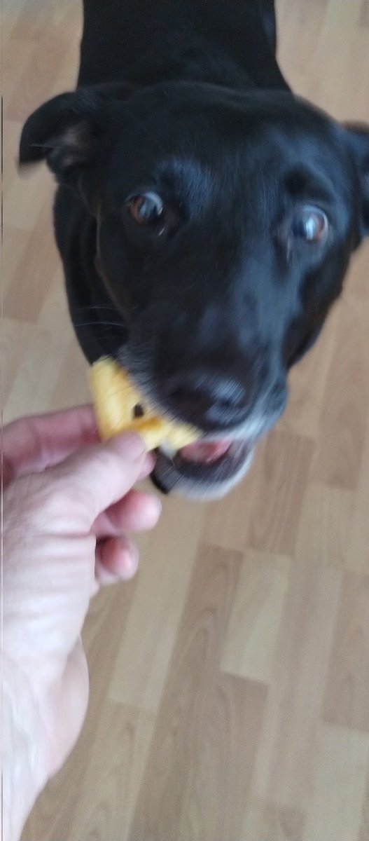 Pete Morris tweet media