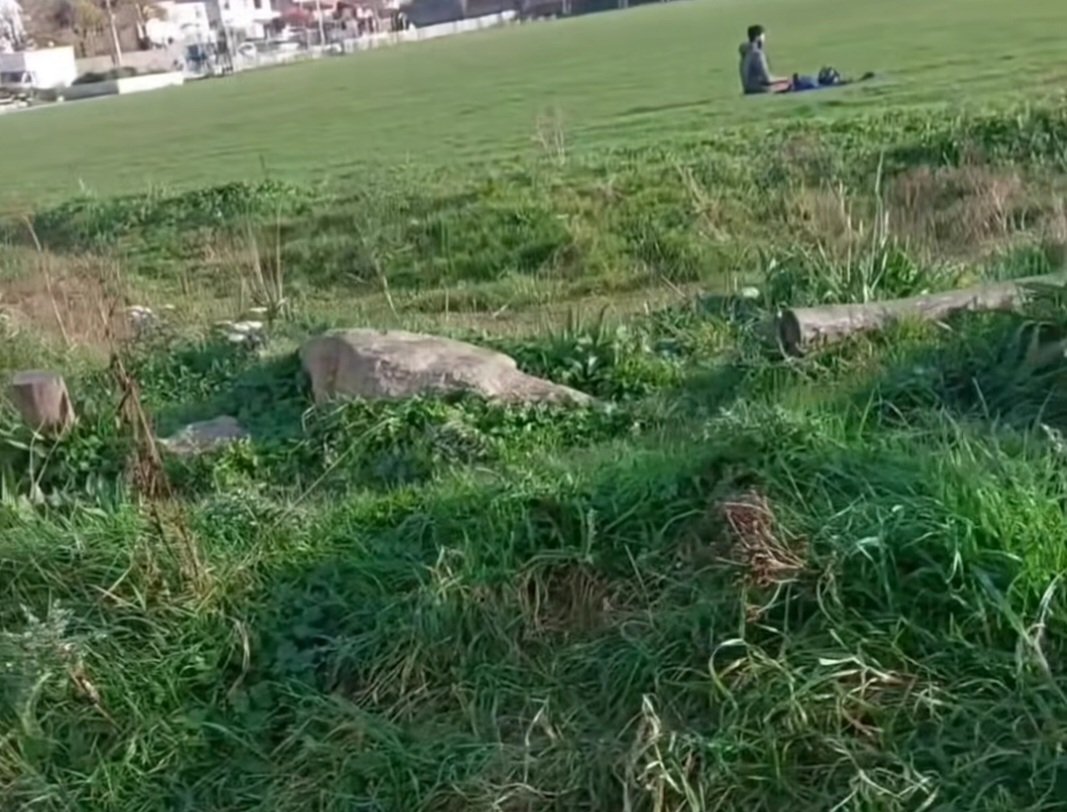 lozzylozboz's tweet image. 11am this morning, Hudson Field, Glasthule. A local girl was going for a walk. This man was sitting watching her and she realised he had his trousers down and was playing with himself.
This is Ireland now. 
This is also a field that alot of kids play in. #glasthule #Ireland