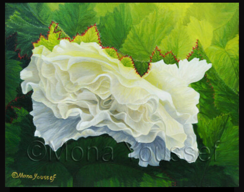 The language of flowers Symbolism and mythology has surrounded the history for thousands of years, influencing our responses & provoking emotions. Thus, Artists & writers have given meanings to flowers & to their colours! White flowers simplify purity. monayoussefgallery.com