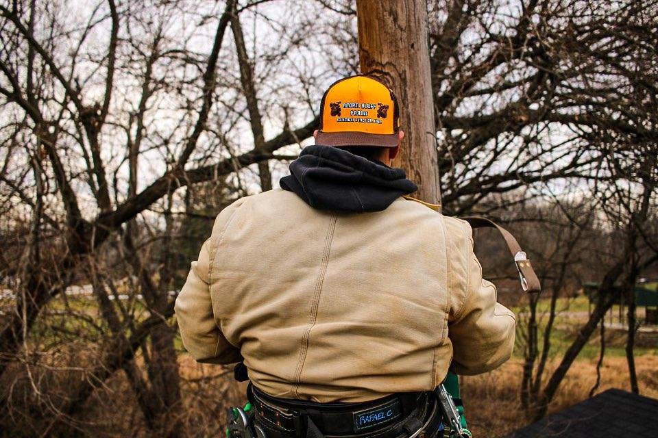 AcornBluffFarms's tweet photo. Use code #FridayHat for 25% off our trucker hat. Available today through Monday night. https://t.co/aYStLafNZW