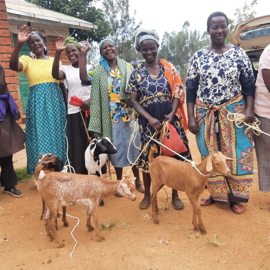 Habt ihr schon einmal eine Ziege verschenkt? 😉 Jetzt gibt es die Gelegenheit dazu! Auch in diesem Jahr veranstalten wir die #Weihnachtstombola zugunsten der #Witwenkooperative St. Monica Village in Nyabondo sowie bedürftiger #Waisenkinder. dentists-for-africa.org/spendenaktion-…