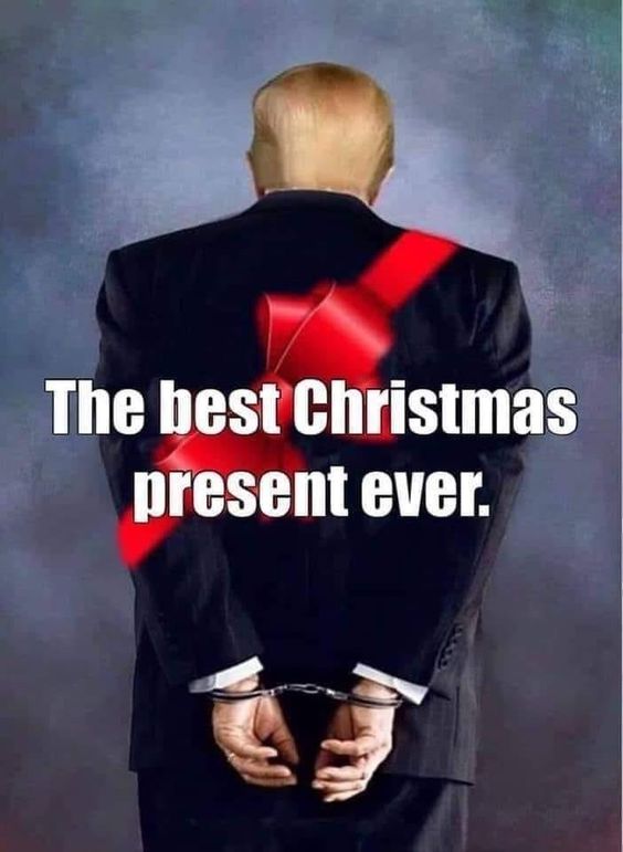 Damaan4u33's tweet photo. All I want for Xmas is Trump in a prison cell! Do you agree? ✋✋✋ https://t.co/cOmAF2gZtY