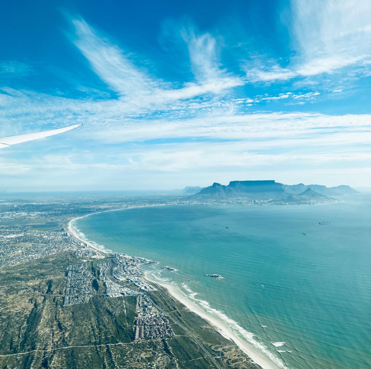 👋 Hello Cape Town! @iuis_junior just landed! 🛬 We’re so excited to be here & looking forward to meeting you! share your journey to #IUIS2023 with #RoadToCapeTown! Keep an eye out for announcements for our early-career specials during the conference! #earlycareer #immunology