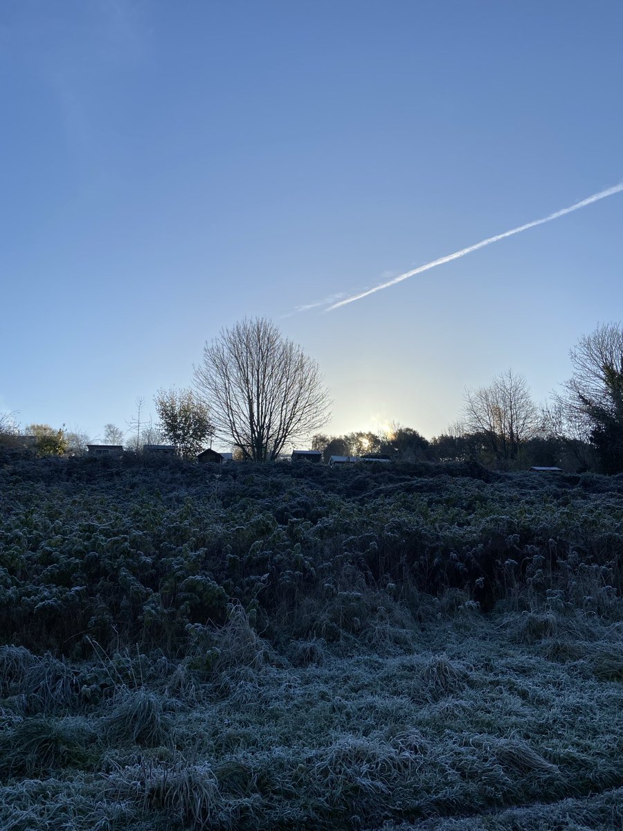 Jane Guy tweet media