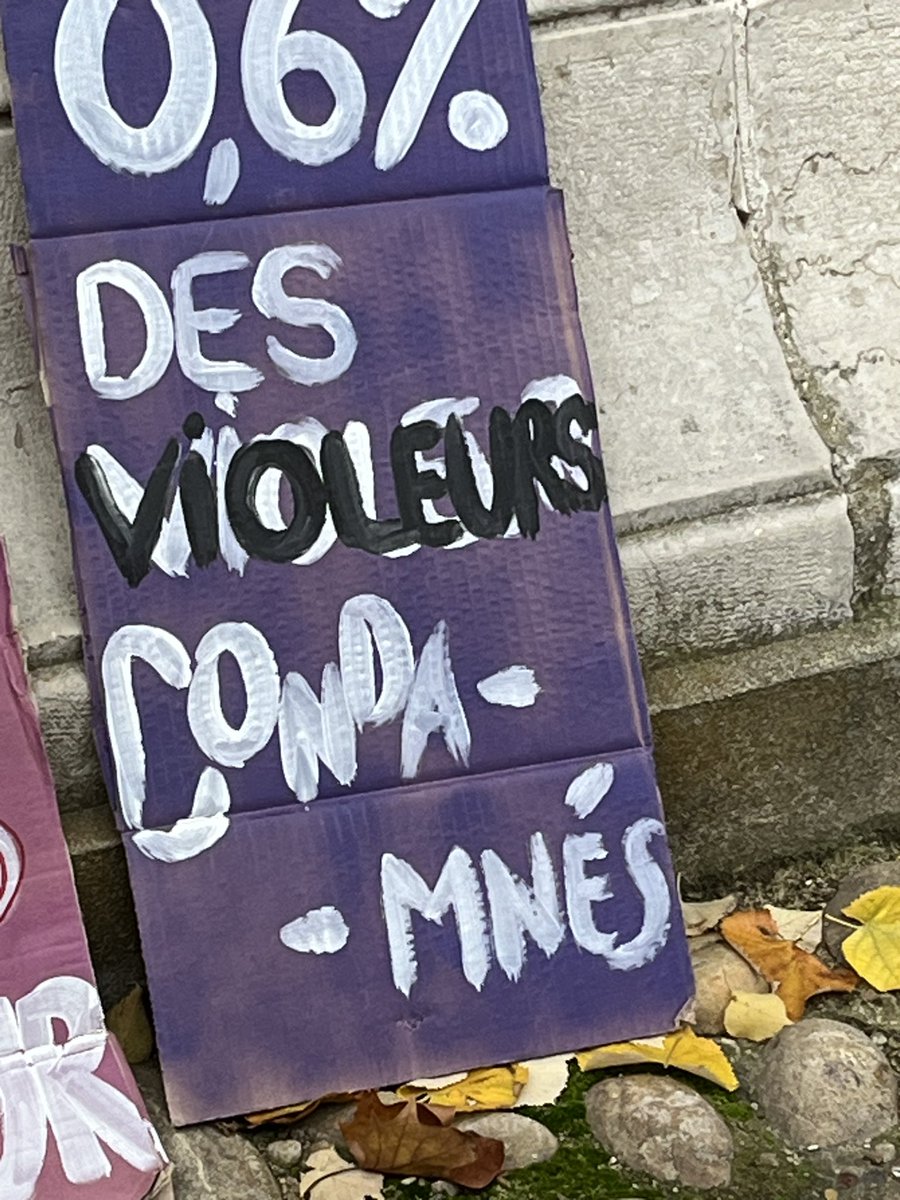 JFDebat's tweet image. ❌270 000 femmes victimes de violences conjugales chaque année en France
❌1/3 des femmes dans le monde victimes de viol au cours de leur vie
❌1 enfant sur 10 victime de violence sexuelle
❌Le porno: du viol filmé en accès direct
Aujourd’hui, réunis pour dire STOP #25Novembre