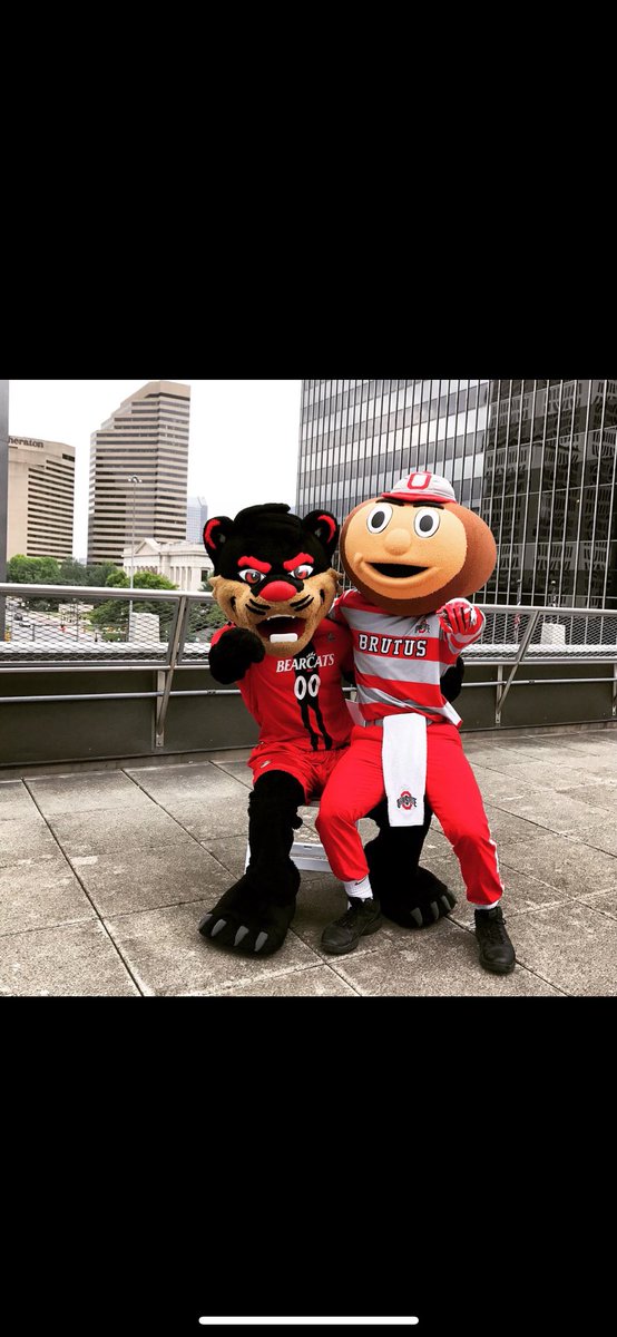 Cincinnati Chicks tweet media