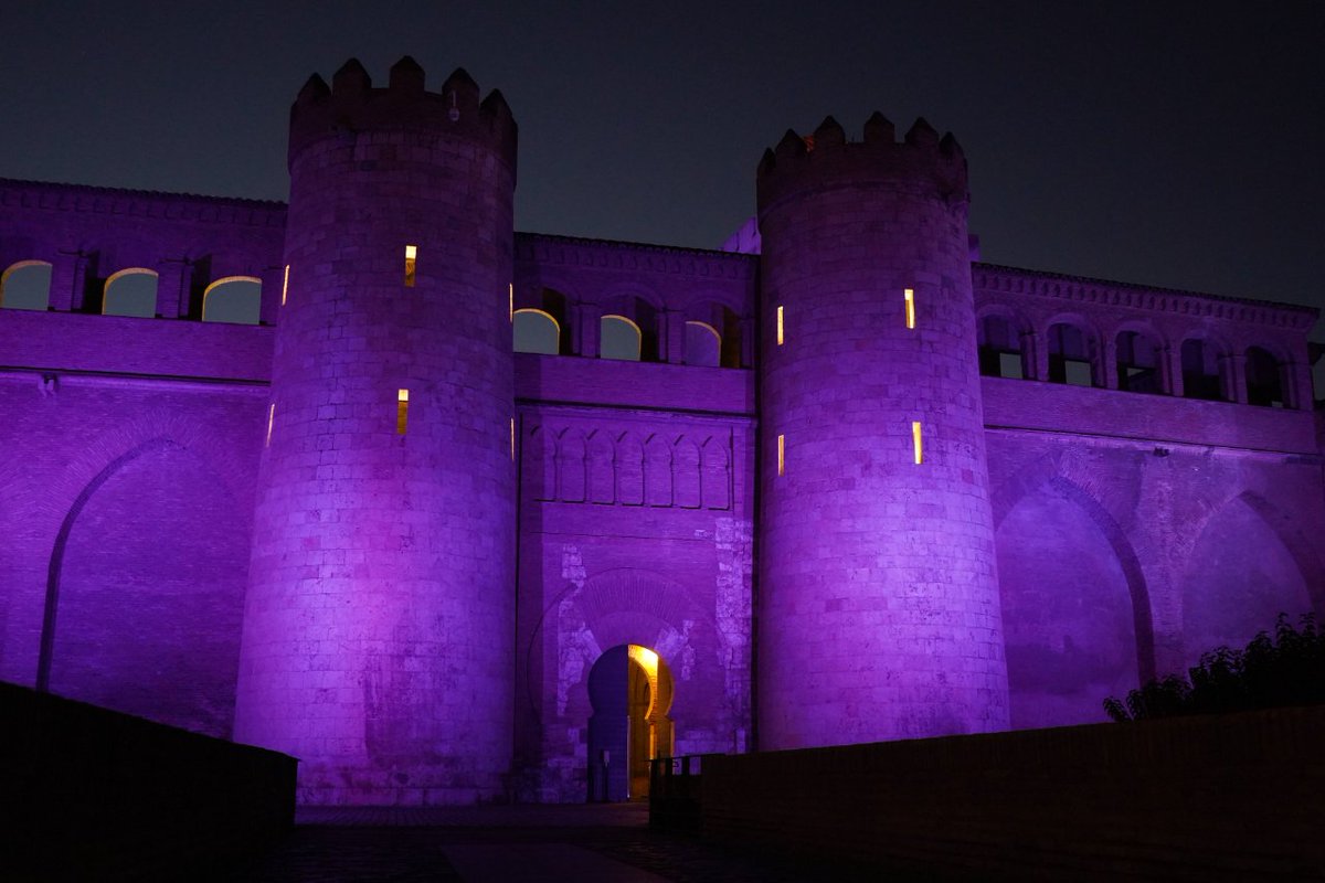 #NoHayExcusa 🟣✋ La #Aljafería se ilumina en el Día Internacional de la Eliminación de la Violencia contra la Mujer para visibilizar la importancia de la prevención, sensibilización e implicación de toda la sociedad para poner fin a la violencia contra las mujeres y niñas.