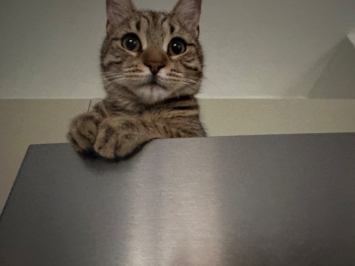 Artık buzdolabina çıkabiliyorum