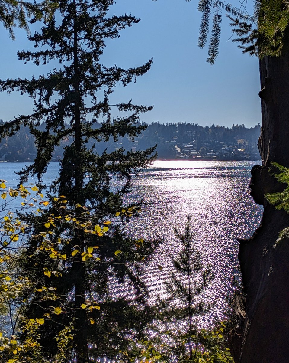 Loving every moment of my hiking adventures! The way the sunlight reflects off the water is just mesmerizing. Nature's beauty at its finest!    #HikingLove #NatureViews 🌞💧🍃