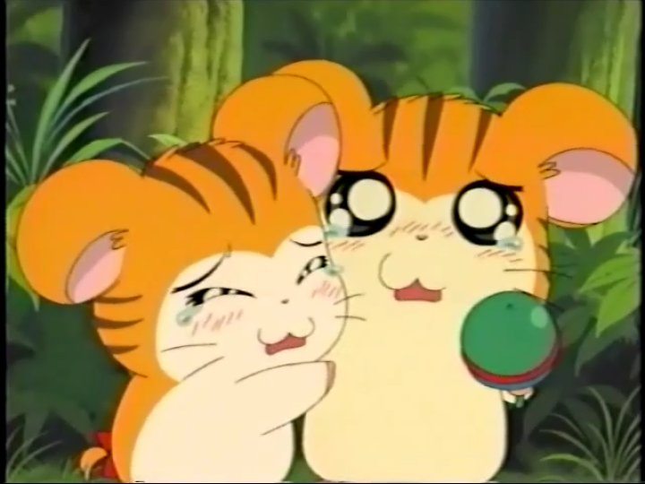 Sandy and Stan appreciation post November 26 is Twins Day in Japan