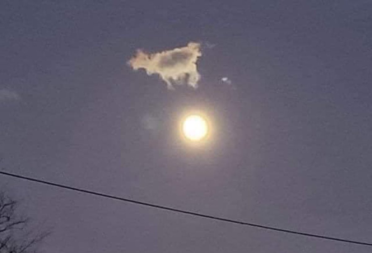 Well holy crap !!   It’s True. 🤣