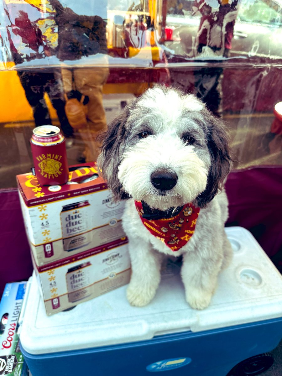 #gophergameday <a href="/grayduckspirits/">Gray Duck Spirits</a> #battlefortheaxe #varmintnation