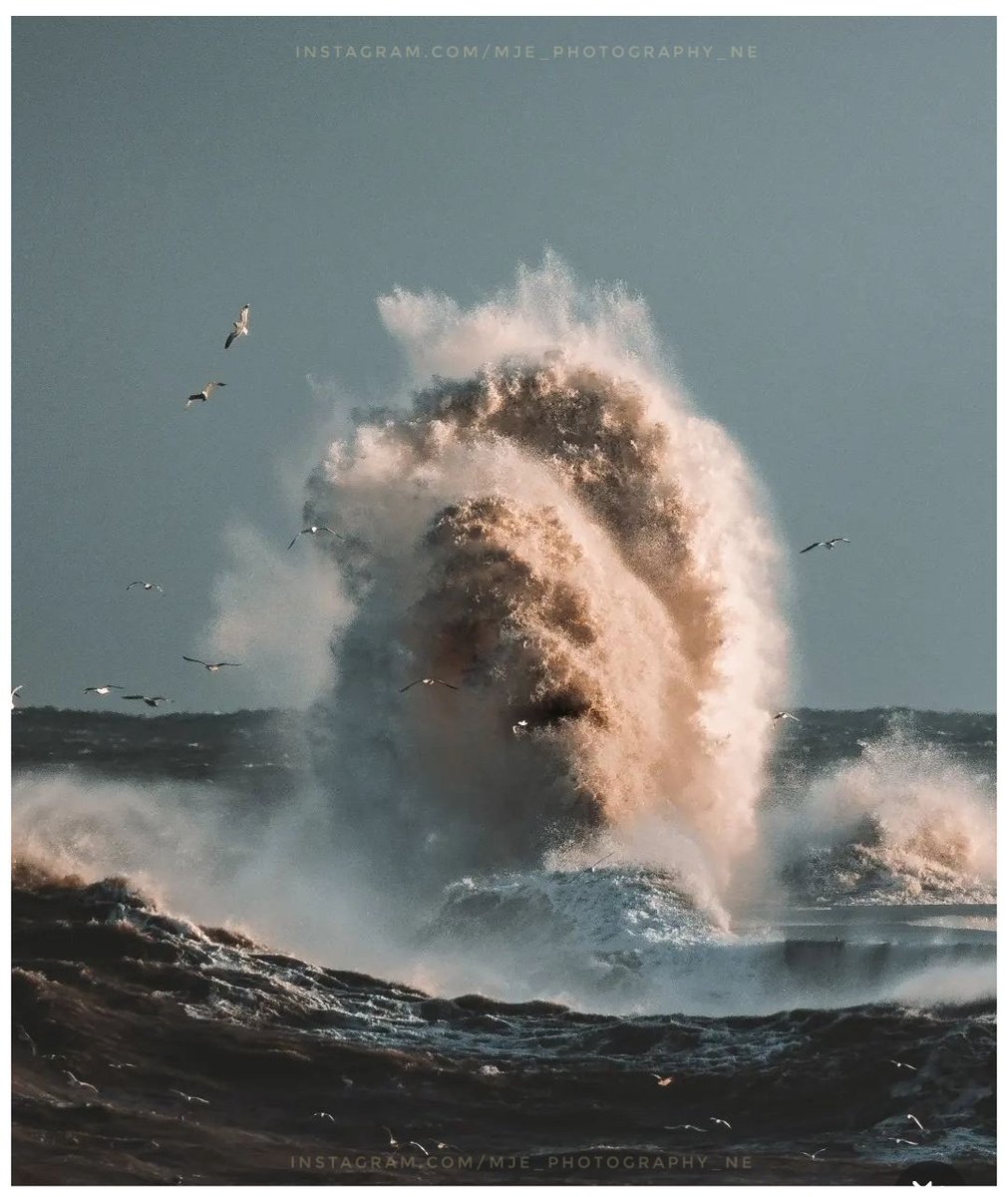 North East Tweets tweet media