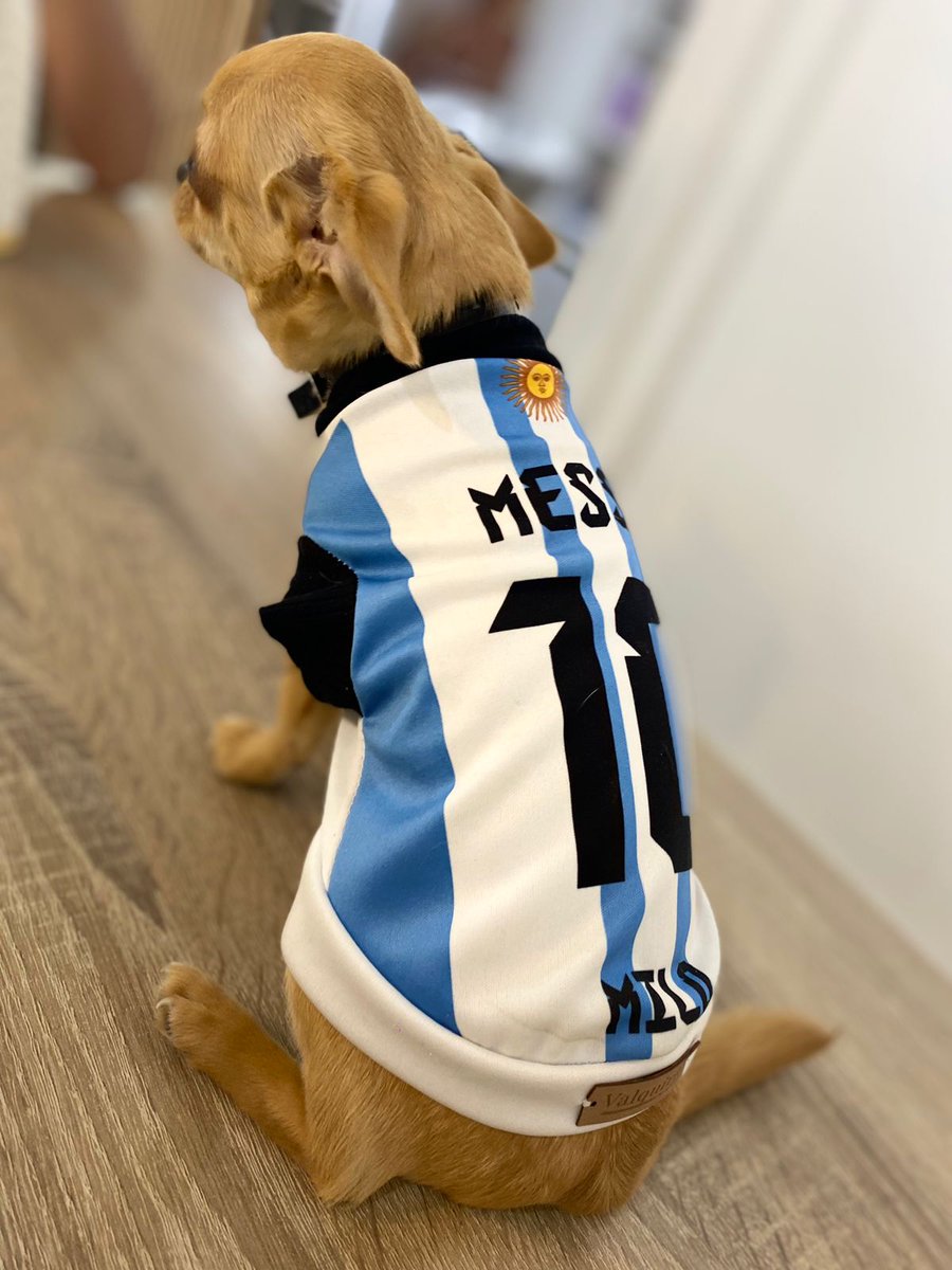 Scaloni no te vayas, te lo pide Milo 🥺🙏🏼 <a href="/lionelscal/">lionelscaloni</a> #scaloneta #Messi #goat