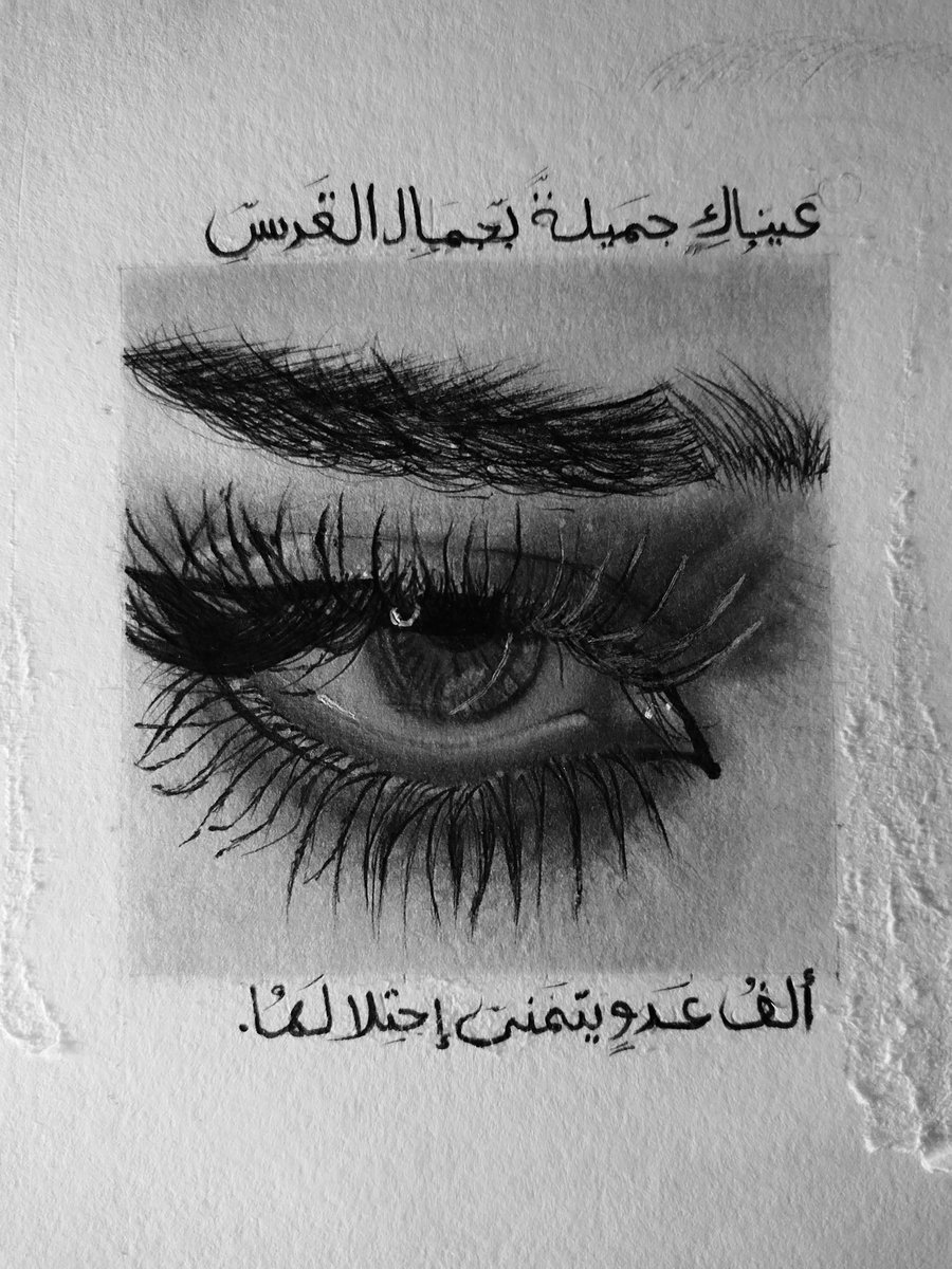 Arwa tweet media