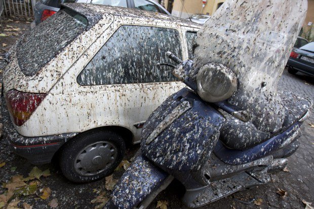 AndreaElemento's tweet photo. @buitengebieden Nature is beautiful but something tells me that car owners are not to happy. 😉 https://t.co/sh1YzLl715