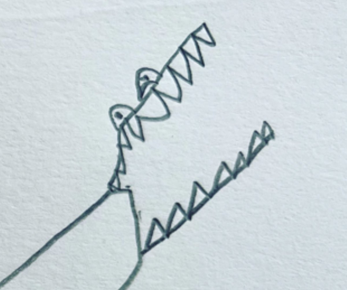 Amy @ The Parakeet tweet media