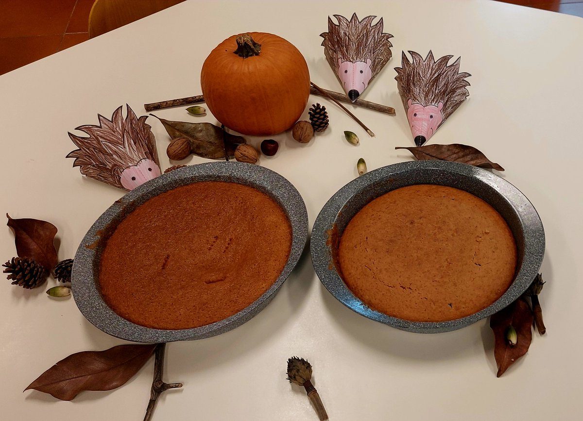 Civit19's tweet photo. Un petit air d'automne en MS1
#petitsartistesenherbes #créativité #Explorerlemonde #MS1 #LFChateaubriand #Zese https://t.co/nAumhsfv0j
