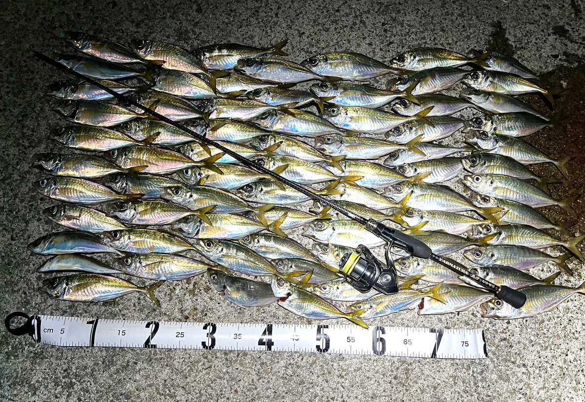 レガーメ毘沙 【公式通販】