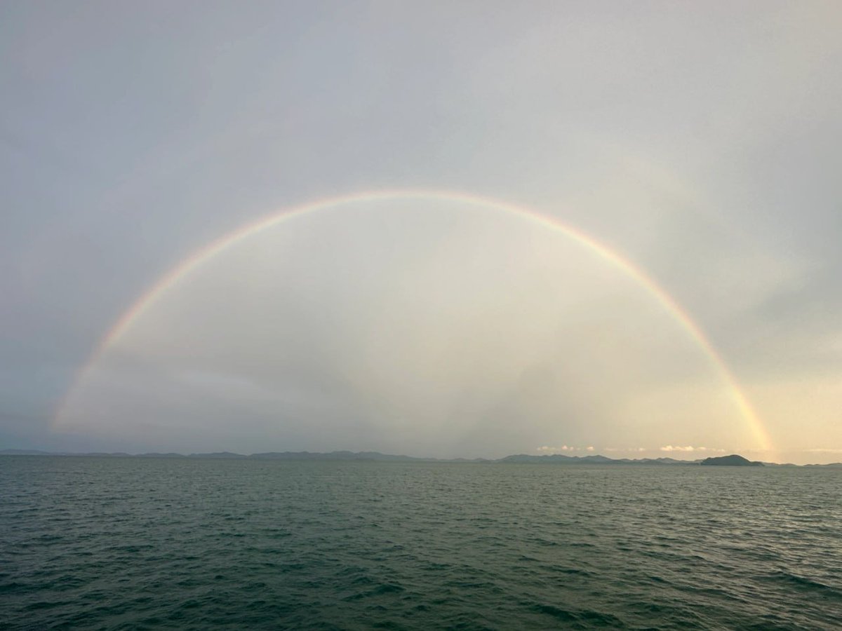 aaclassmom's tweet photo. Everything that passes away with the wind belongs to yesterday, and everything that remains after the wind and rain is for the future. https://t.co/tSXwsxxQuL
