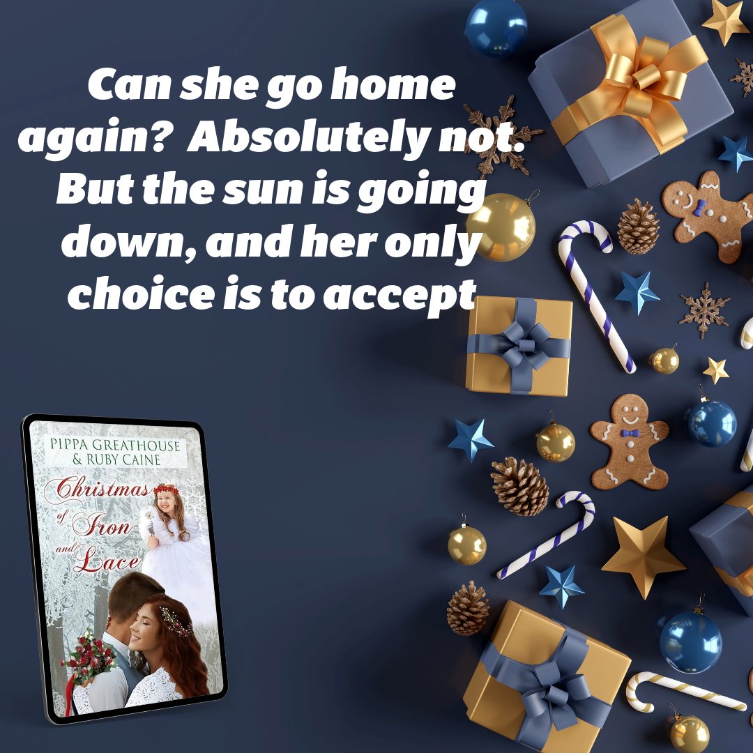 SylvDotNet's tweet photo. https://t.co/KgtkIlqntJ

Can she go home again? Absolutely not. But the sun is going down, and her only choice is to accept...

Christmas of Iron and Lace
@PippaG6 &amp;  @RubyCainecajun 
Paperback &amp; Kindle https://t.co/A7OswwWCLb