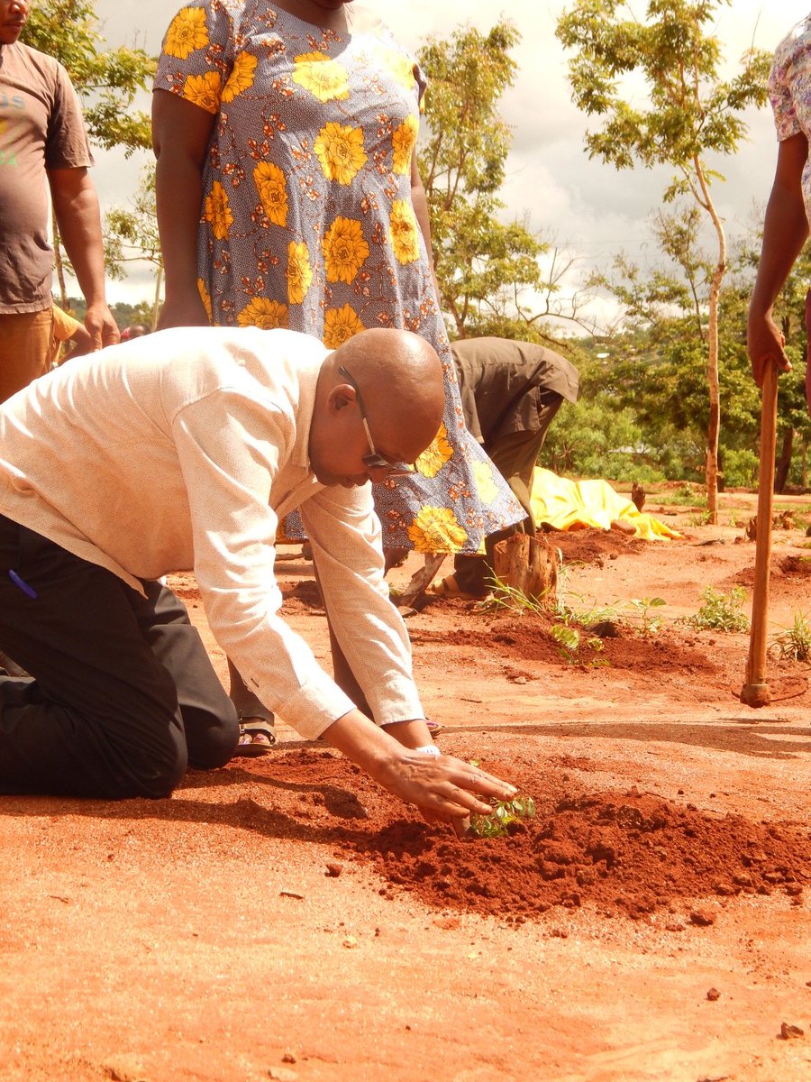 OurCbo's tweet photo. Thanks to the pivotal partnership with Agricultural Finance Corporation , 1500 trees took root in Mwatate's soil, and another 1000 found new homes among the residents of Kitivo. https://t.co/mBAck1L5sd