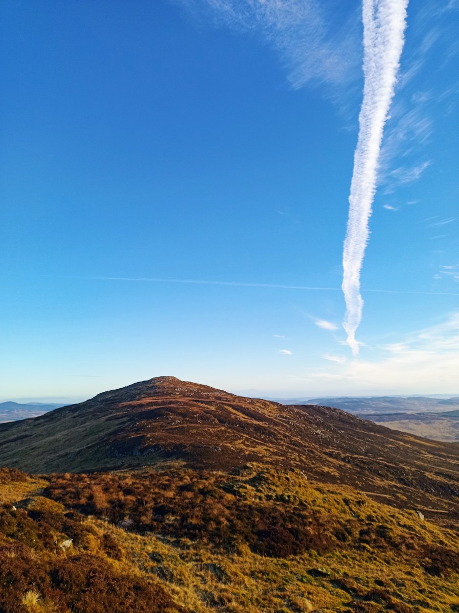 christian dietrich tweet media