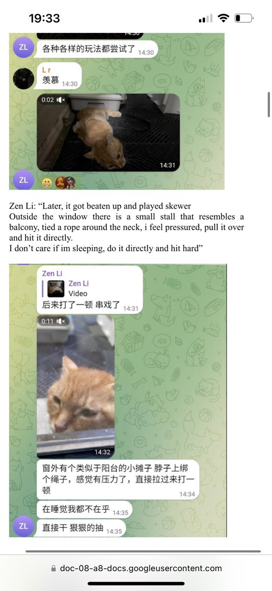 Tom97An's tweet photo. More evidence that Zhenfei Li(Zen Li) is a cat torturer. He lives: 1750 Waverly Cv, Alpharetta, GA 30004-0669 #Georgia #alpharetta #Atlanta #CatsOfTwitter #CatsOfX https://t.co/epGOLJqUW8