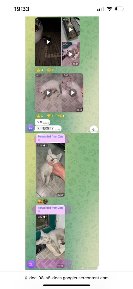 Tom97An's tweet photo. More evidence that Zhenfei Li(Zen Li) is a cat torturer. He lives: 1750 Waverly Cv, Alpharetta, GA 30004-0669 #Georgia #alpharetta #Atlanta #CatsOfTwitter #CatsOfX https://t.co/epGOLJqUW8