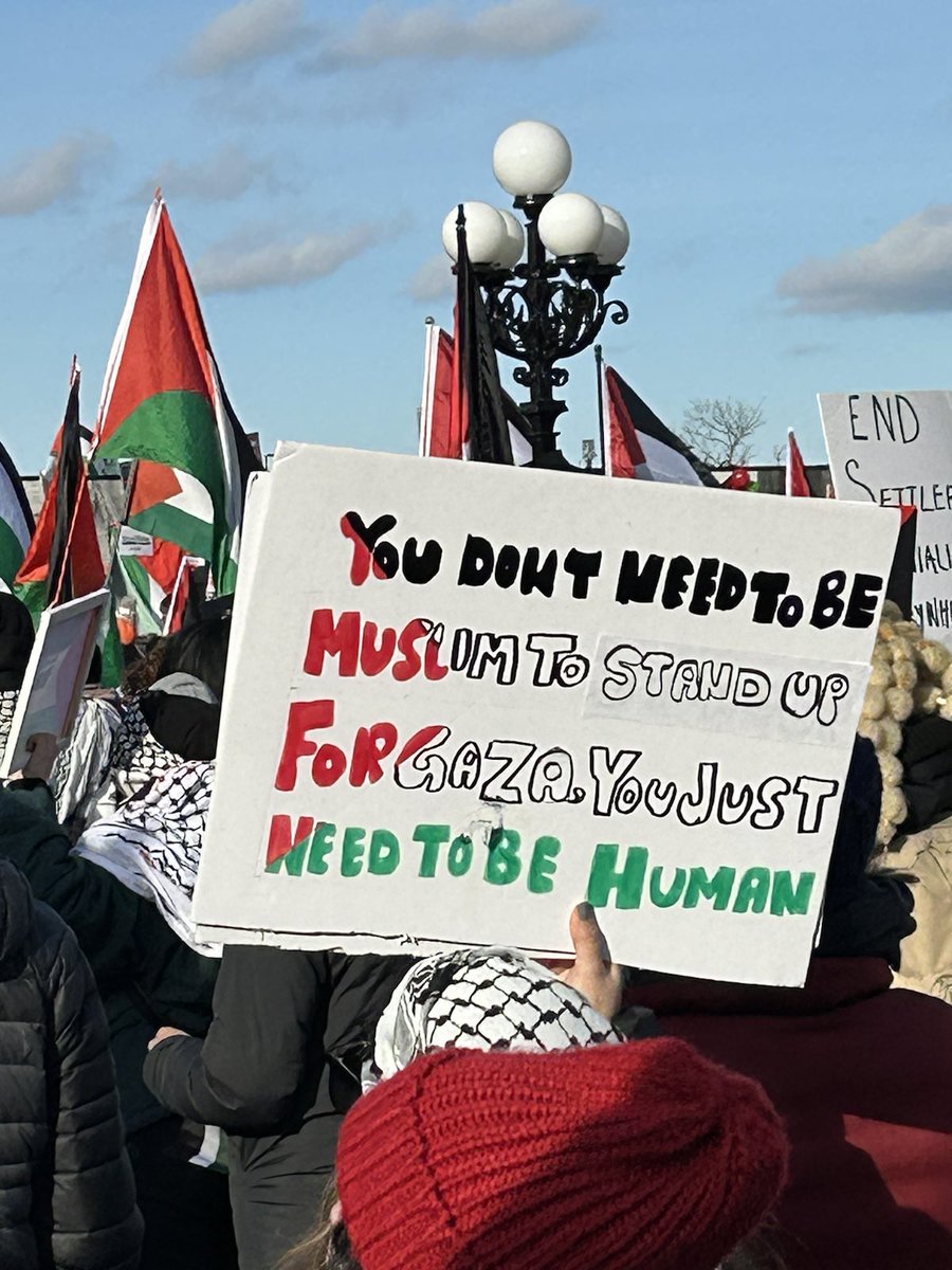 Joel Harden tweet media