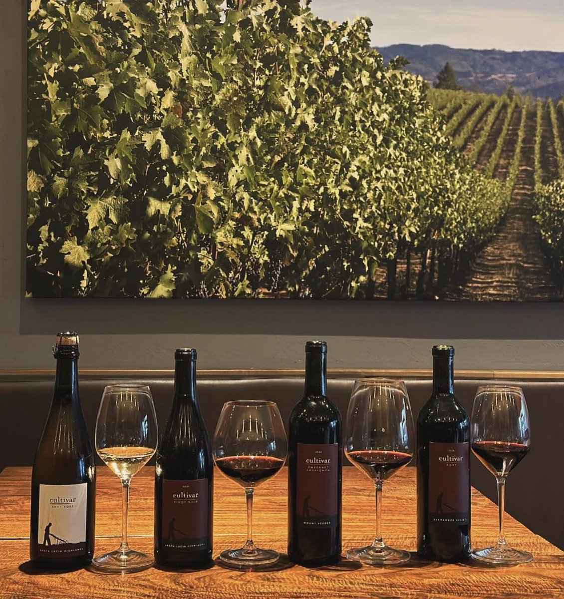 Today only 🍷 $10 WINE FLIGHTS! In honor of #SmallBusinessSaturday we’re offering our wine flights for just $10 at @cultivar_sf ! Stop by today and show some love for your favorite Marina neighborhood gem and enjoy some great California wines♥️