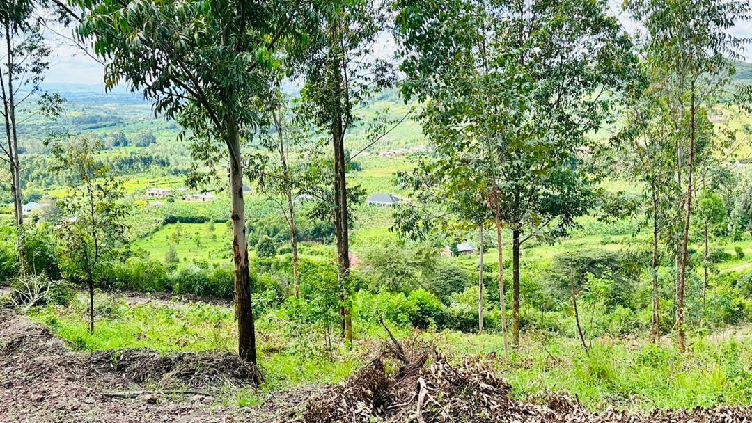 bryanArc46's tweet photo. Name: Nyamabaale estate Mbarara city 
Distance: 4.5km from tarmac 
Price per plot (50ft by 100ft): 9m 
For inspection call/WhatsApp: +256 705048070
https://t.co/5pcTtUh8zL https://t.co/dUXcWIg6qu
