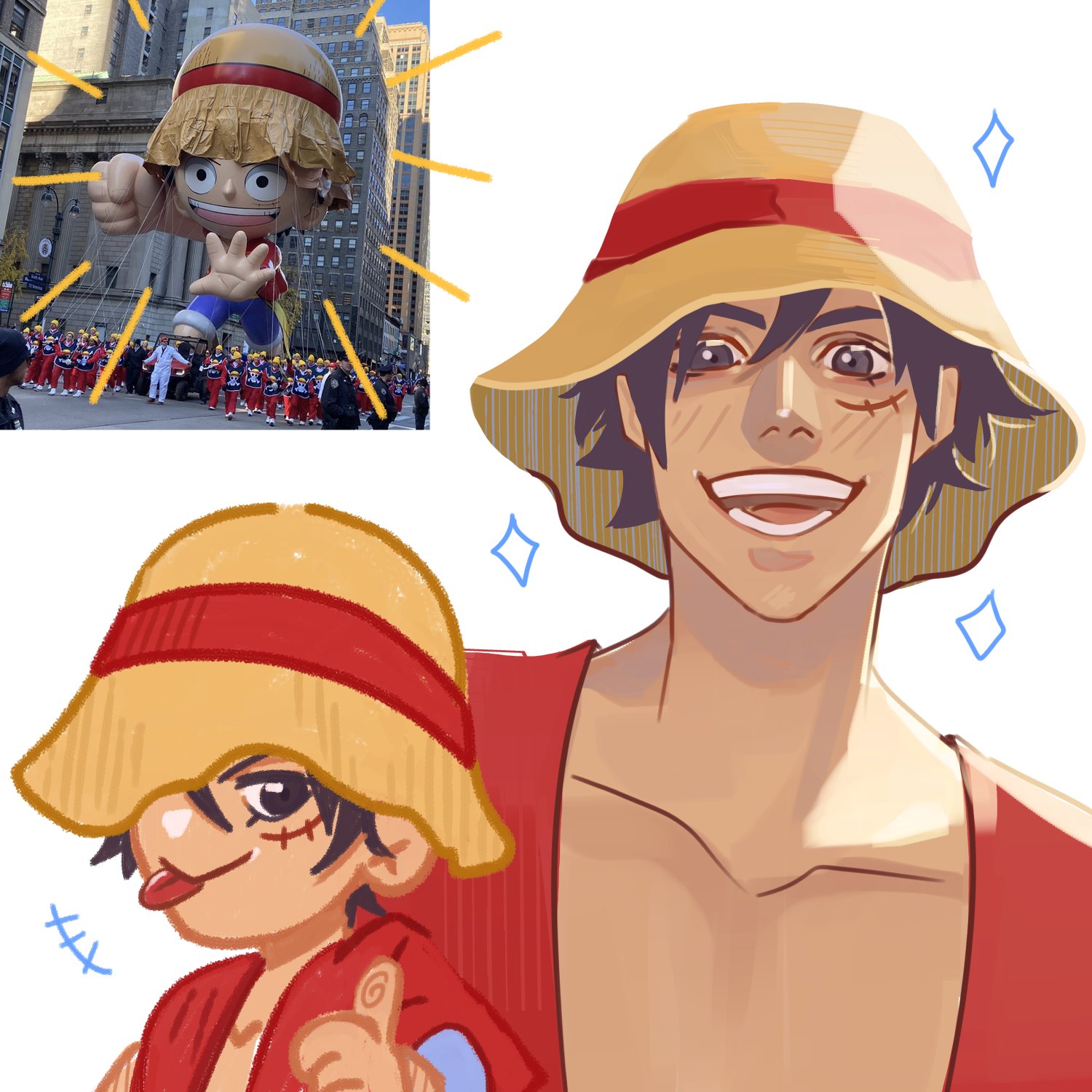 Luffy Boonie Hat