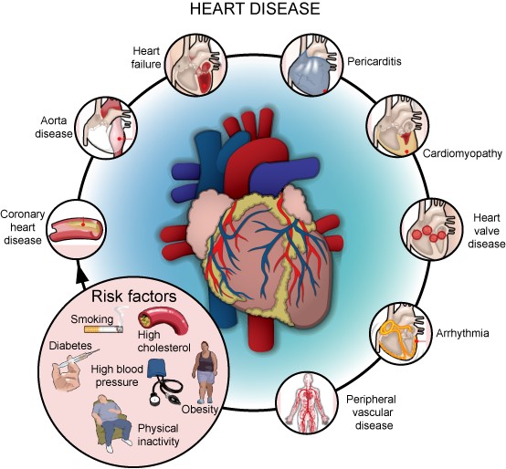 QalycomHealth's tweet image. Did You Know?
In Rochdale, an estimated 14,000 people are living with heart and circulatory diseases(CVD) and 19,000 people have been diagnosed with high blood pressure. 
Watch Out!  for our upcoming event on “Increasing the awareness of CVD”.
Courtesy: The Co-Operative Bank