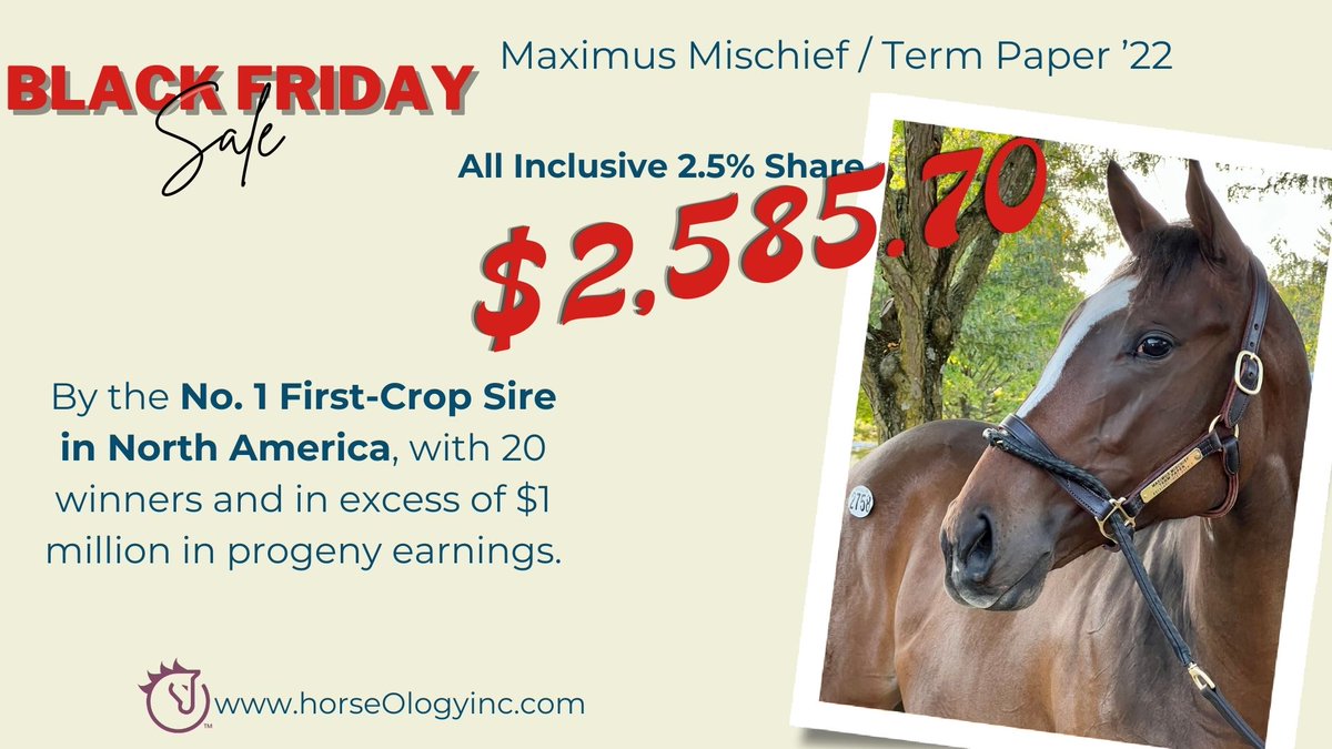 horse_ology's tweet image. Black Friday Flash Sale this weekend! For 2 Days Only! We are offering  👉2.5% shares on select horses. Call us at 855-467-7437 🤳 to learn more. Don't wait; this Flash Sale expires on 11/27/23. #blackfriday2023 #blackfridaydeals #pinhooking
