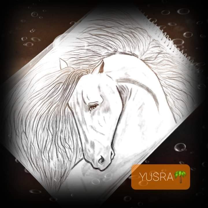 YusarYusra's tweet photo. #تغريدات
للخيل عز وراعي الخيل خيال 
#راقت_لي  #رسم  #influencers
#بريشتي_المتواضعة #yusra https://t.co/rquFDOWmNC