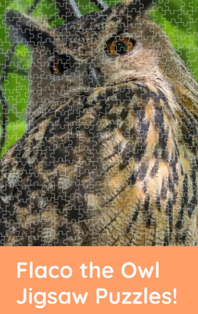 DiveArtist's tweet image. Flaco’s been playing hide and seek lately but you can bring him into your living room as a #jigsawpuzzle tr.ee/2YvkoYMcdi or #greetingcards cards
tr.ee/-2NPvtZQ4n
#FlacotheOwl #Flaco #holidaygift #birdcpp