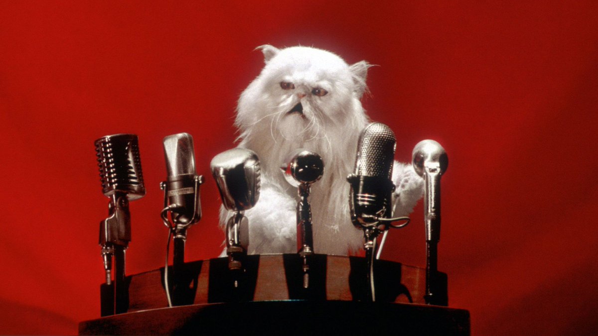 graceyldn's tweet image. Beep the Meep is giving Mr Tinkles vibes from Cats &amp;amp; Dogs #DoctorWho