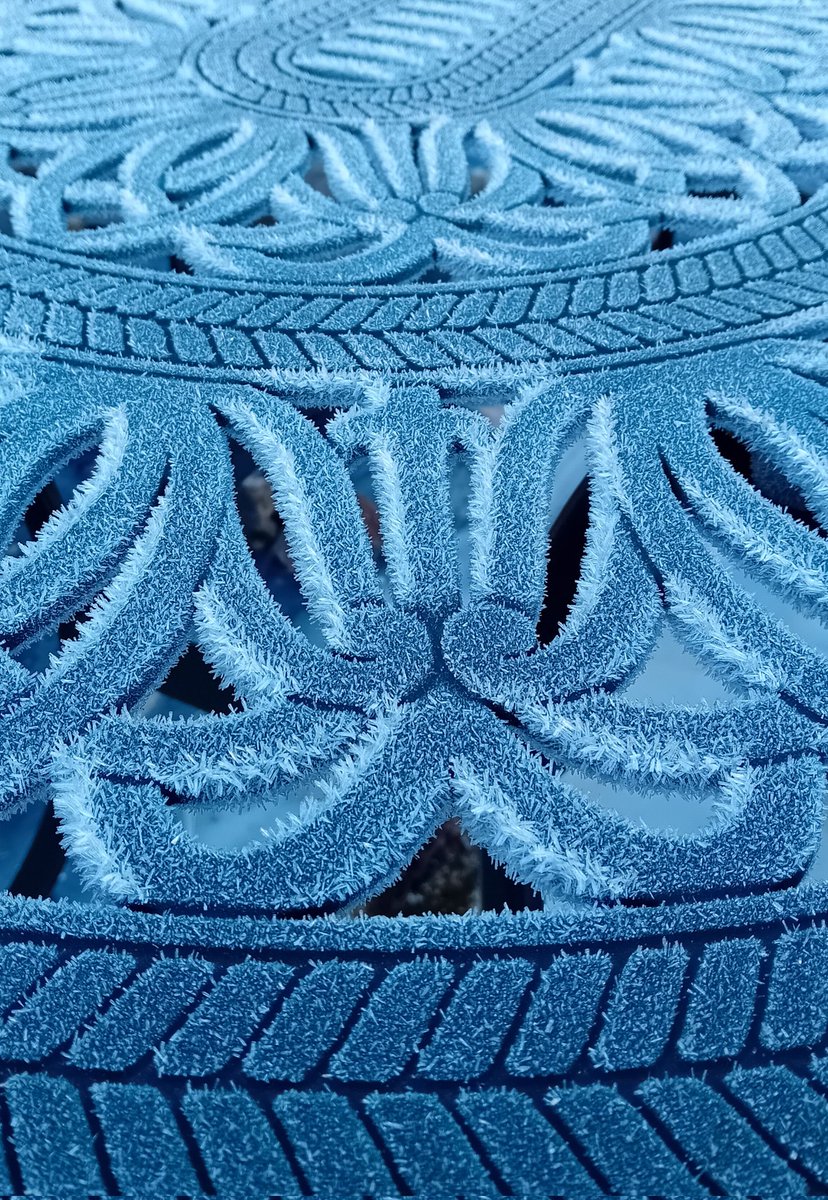 mouse_workshop's tweet image. First frost of winter. A chilly but beautiful day!